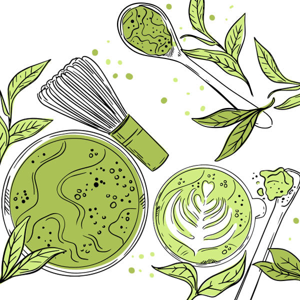 Matcha: Myths, Magic, and the Facts