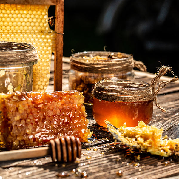 From Hive to Table: A Sweet Journey Through America's Honeys