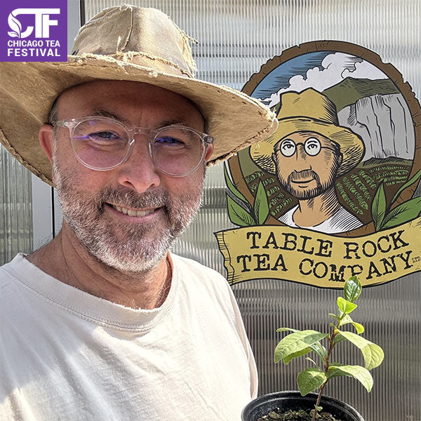 Growing and Producing Tea in the United States: From Hobby to Commercial Farming
