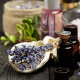 Lavender Therapy: A Sensory Journey to Stillness